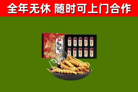田家庵区回收冬虫夏草价格